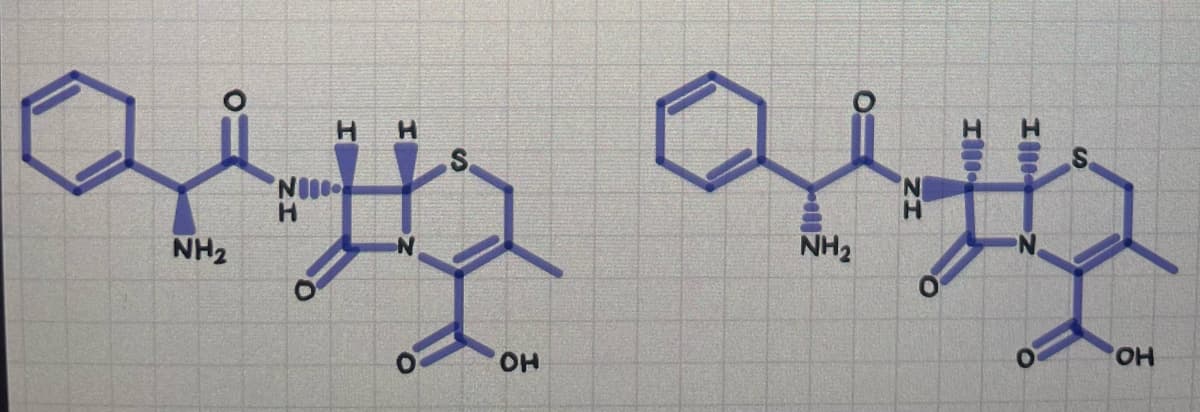 H.
NI
H.
NH2
N.
NH2
OH
HO
