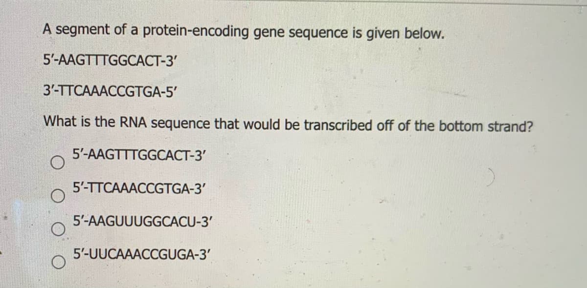 A segment of a protein-encoding gene sequence is given below.
5'-AAGTTTGGCACT-3'
3'-TTCAAACCGTGA-5'
What is the RNA sequence that would be transcribed off of the bottom strand?
5'-AAGTTTGGCACT-3'
5'-TTCAAACCGTGA-3'
5'-AAGUUUGGCACU-3'
5'-UUCAAACCGUGA-3'
