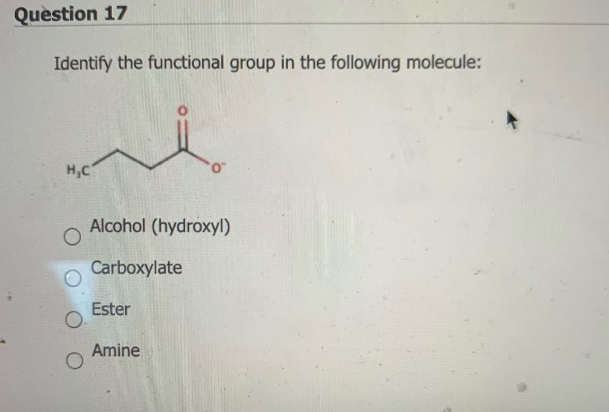 Question 17
Identify the functional group in the following molecule:
H,C
Alcohol (hydroxyl)
Carboxylate
Ester
Amine
