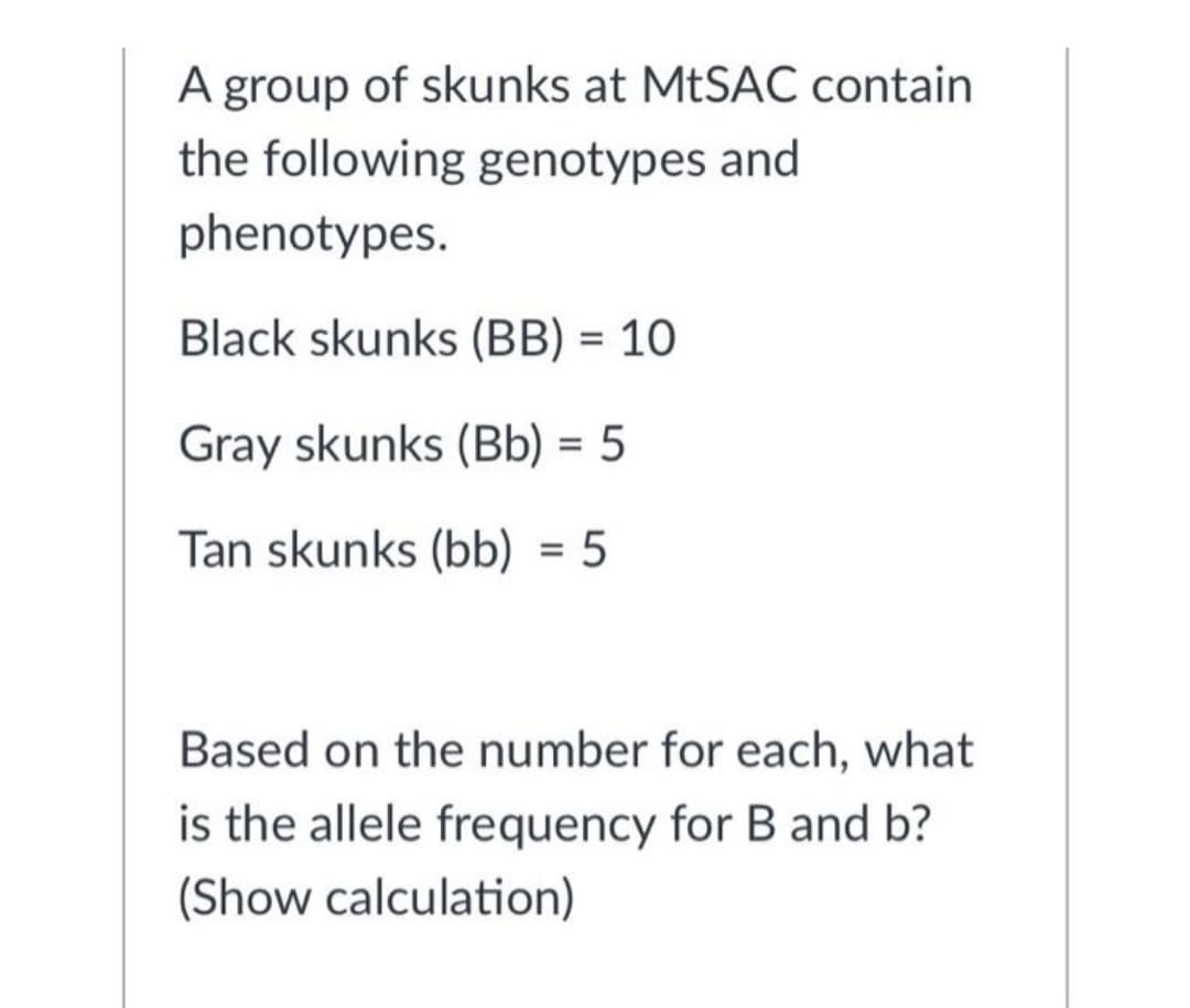 A group of skunks at MtSAC contain
the following genotypes and
phenotypes.
Black skunks (BB) = 10
%3D
Gray skunks (Bb) = 5
%3D
Tan skunks (bb) = 5
%3D
Based on the number for each, what
is the allele frequency for B and b?
(Show calculation)
