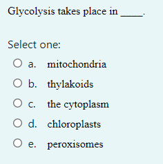 Glycolysis takes place in
Select one:
O a. mitochondria
O b. thylakoids
O c. the cytoplasm
O d. chloroplasts
O e. peroxisomes