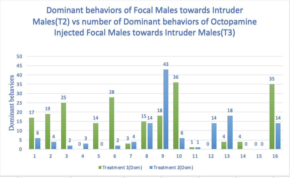 Dominant behaviors of Focal Males towards Intruder
Males(T2) vs number of Dominant behaviors of Octopamine
Injected Focal Males towards Intruder Males(T3)
50
45
43
40
36
35
35
28
19
18
18
17
14
15 14
14
14
10
3 4
4
4
0 0
1 2 3
6 7 8 9 10
11
12
13
14
15
16
ITreatment 1(Dom)
ITreatment 2(Dom)
Dominant behaviors
25
