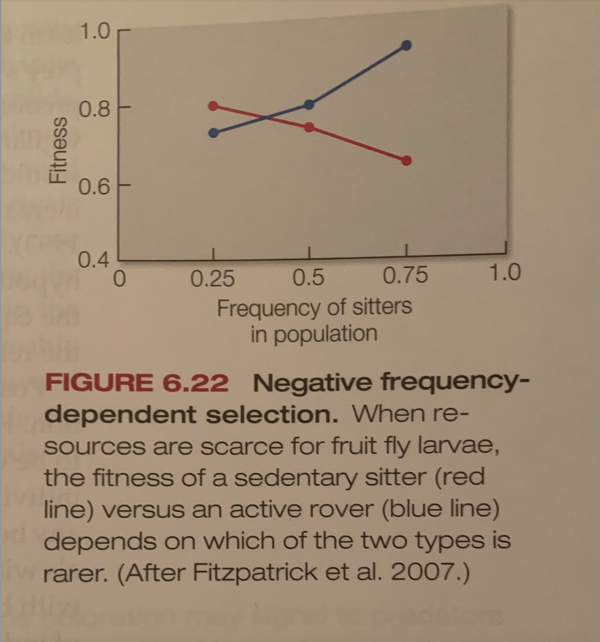 1.0 -
0.8
0.6 F
0.4
0.25
0.5
0.75
1.0
Frequency of sitters
in population
FIGURE 6.22 Negative frequency-
dependent selection. When re-
sources are scarce for fruit fly larvae,
the fitness of a sedentary sitter (red
line) versus an active rover (blue line)
depends on which of the two types is
rarer. (After Fitzpatrick et al. 2007.)
Fitness
