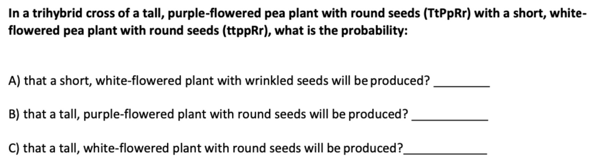 In a trihybrid cross of a tall, purple-flowered pea plant with round seeds (TtPpRr) with a short, white-
flowered pea plant with round seeds (ttppRr), what is the probability:
A) that a short, white-flowered plant with wrinkled seeds will be produced?
B) that a tall, purple-flowered plant with round seeds will be produced?
C) that a tall, white-flowered plant with round seeds will be produced?
