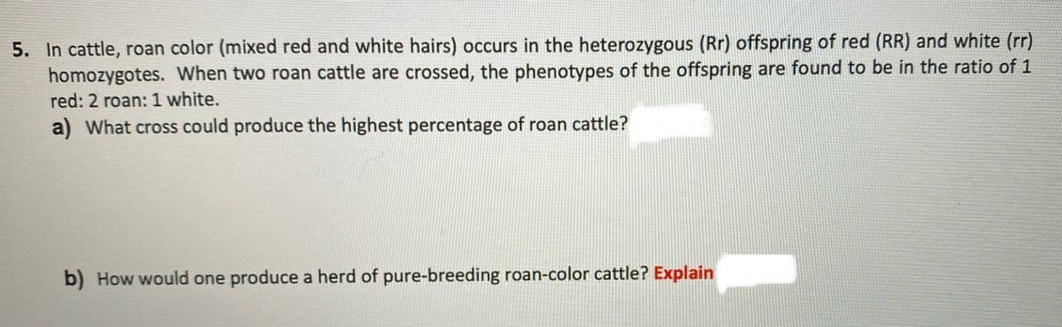 5. In cattle, roan color (mixed red and white hairs) occurs in the heterozygous (Rr) offspring of red (RR) and white (rr)
homozygotes. When two roan cattle are crossed, the phenotypes of the offspring are found to be in the ratio of 1
red: 2 roan: 1 white.
a) What cross could produce the highest percentage of roan cattle?
b) How would one produce a herd of pure-breeding roan-color cattle? Explain
