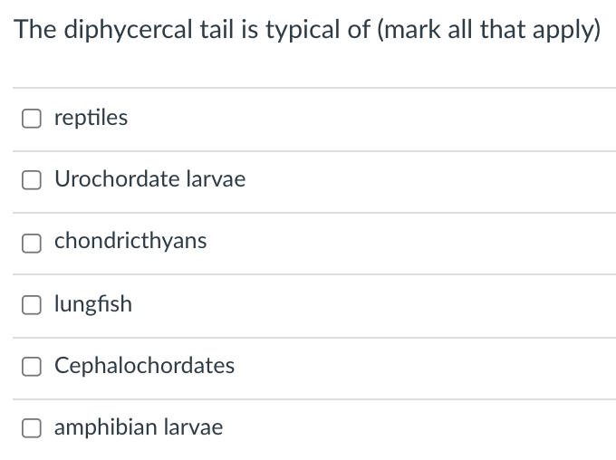 The diphycercal tail is typical of (mark all that apply)
reptiles
Urochordate larvae
O chondricthyans
lungfish
O Cephalochordates
amphibian larvae

