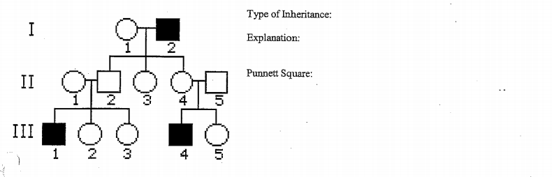 Type of Inheritance:
I
Explanation:
Punnett Square:
II
2
III
