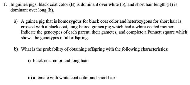 1. In guinea pigs, black coat color (B) is dominant over white (b), and short hair length (H) is
dominant over long (h).
a) A guinea pig that is homozygous for black coat color and heterozygous for short hair is
crossed with a black coat, long-haired guinea pig which had a white-coated mother.
Indicate the genotypes of each parent, their gametes, and complete a Punnett square which
shows the genotypes of all offspring.
b) What is the probability of obtaining offspring with the following characteristics:
i) black coat color and long hair
ii) a female with white coat color and short hair
