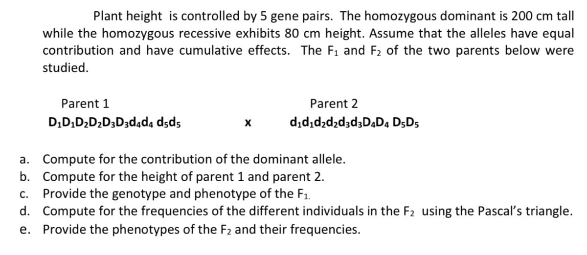 Plant height is controlled by 5 gene pairs. The homozygous dominant is 200 cm tall
while the homozygous recessive exhibits 80 cm height. Assume that the alleles have equal
contribution and have cumulative effects. The F1 and F2 of the two parents below were
studied.
Parent 1
Parent 2
D;D,D2D2D3D3d4d, dsds
dıd,d2d2d3d3DĄD, D5D5
a. Compute for the contribution of the dominant allele.
Compute for the height of parent 1 and parent 2.
Provide the genotype and phenotype of the F1.
d. Compute for the frequencies of the different individuals in the F2 using the Pascal's triangle.
b.
С.
e. Provide the phenotypes of the F2 and their frequencies.
