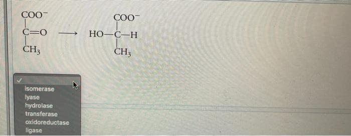 COO-
ÇOO-
C=0
НО -С—Н
-
ČH3
ČH3
isomerase
lyase
hydrolase
transferase
oxidoreductase
ligase
