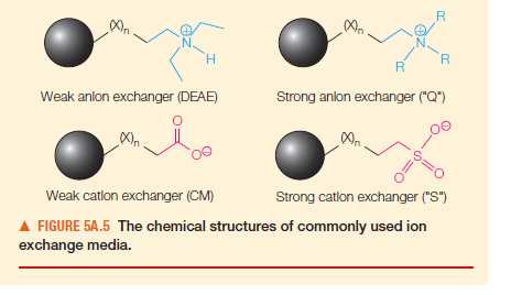 H.
Weak anlon exchanger (DEAE)
Strong anlon exchanger ("Q")
Weak catlon exchanger (CM)
Strong catlon exchanger ("S")
A FIGURE 5A.5 The chemical structures of commonly used ion
exchange media.

