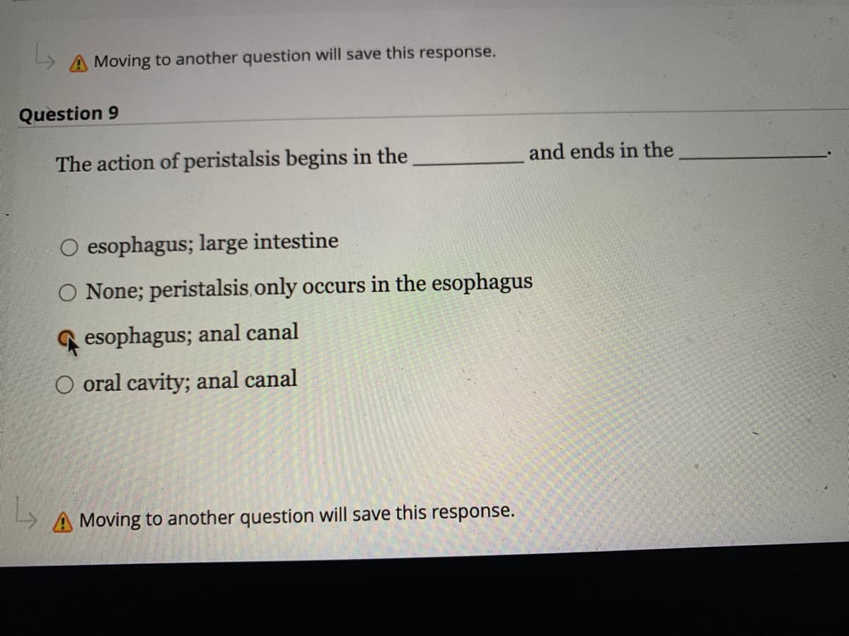 L
A Moving to another question will save this response.
Question 9
The action of peristalsis begins in the
and ends in the
esophagus; large intestine
O None; peristalsis, only occurs in the esophagus
esophagus; anal canal
O oral cavity; anal canal
A Moving to another question will save this response.