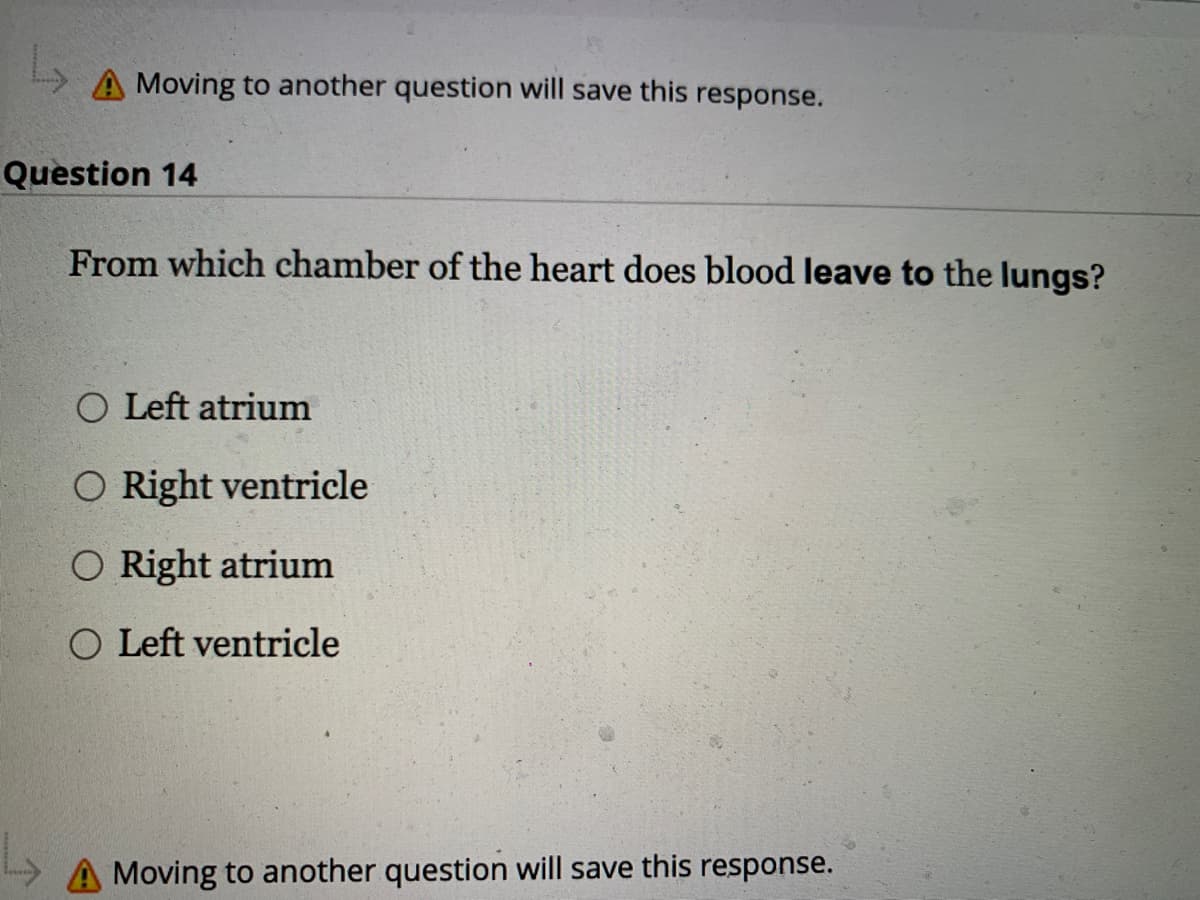 A Moving to another question will save this response.
Question 14
From which chamber of the heart does blood leave to the lungs?
O Left atrium
O Right ventricle
O Right atrium
O Left ventricle
Moving to another question will save this response.