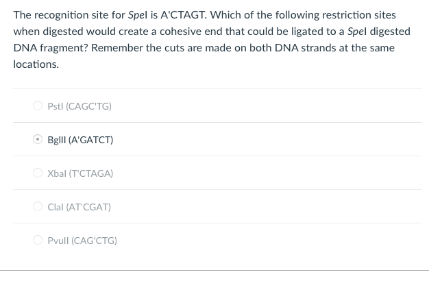 The recognition site for Spel is A'CTAGT. Which of the following restriction sites
when digested would create a cohesive end that could be ligated to a Spel digested
DNA fragment? Remember the cuts are made on both DNA strands at the same
locations.
Pstl (CAGC'TG)
Bglll (A'GATCT)
O Xbal (T'CTAGA)
O Clal (AT'CGAT)
O Pvull (CAG'CTG)
