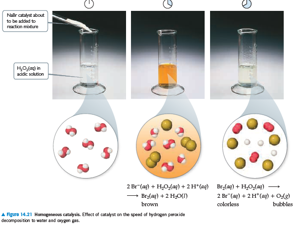 NaBr catalyst about
to be added to
reaction miture
но,(о) in
acidic solution
2 Br (aq) + H,O,(aq) + 2 H* (aq) Brz(aq) + H,O,(aq)
Br2(aq) +2 H2O(1)
2 Br (aq) + 2 H* (aq) + O2(8)
brown
colorless
bubbles
A Figure 14.21 Homogeneous catalysis. Effect of catalyst on the speed of hydrogen peroxide
decomposition to water and coxygen gas.
