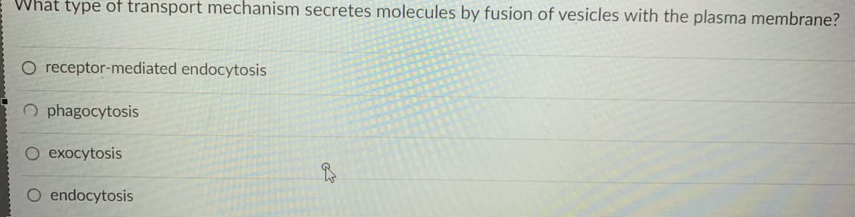 What type of transport mechanism secretes molecules by fusion of vesicles with the plasma membrane?
O receptor-mediated endocytosis
O phagocytosis
О ехосytosis
O endocytosis
