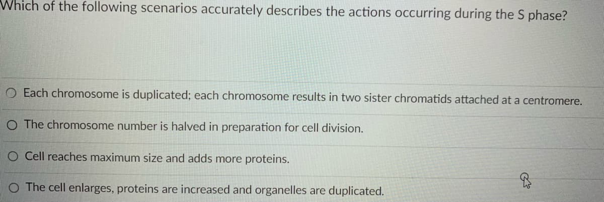 Which of the following scenarios accurately describes the actions occurring during the S phase?
Each chromosome is duplicated; each chromosome results in two sister chromatids attached at a centromere.
O The chromosome number is halved in preparation for cell division.
O Cell reaches maximum size and adds more proteins.
O The cell enlarges, proteins are increased and organelles are duplicated.
