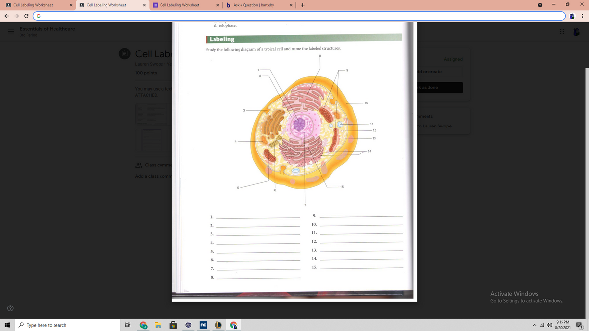 A Cell Labeling Worksheet
A Cell Labeling Worksheet
E Cell Labeling Worksheet
b Ask a Question | bartleby
+
G
d. telophase.
Essentials of Healthcare
3rd Period
Labeling
Study the following diagram of a typical cell and name the labeled structures.
E Cell Lab
Assigned
Lauren Swope · Ye
100 points
d or create
You may use a tex
k as done
ATTACHED.
10
ments
11
to Lauren Swope
12
13
9 Class comme
Add a class comm
15
1.
9.
10.
2.
11.
3.
4.
12.
13.
5.
14.
6.
15.
7.
8.
Activate Windows
Go to Settings to activate Windows.
9:15 PM
O Type here to search
8/20/2021
近
