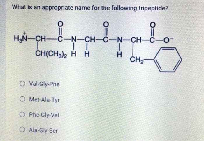What is an appropriate name for the following tripeptide?
O
O
O
||
H₂N-CH-C-N-CH-C-N-CH-C-0-
L II
T
CH(CH3)2 H H
O Val-Gly-Phe
O Met-Ala-Tyr
O Phe-Gly-Val
O Ala-Gly-Ser
H
CH₂