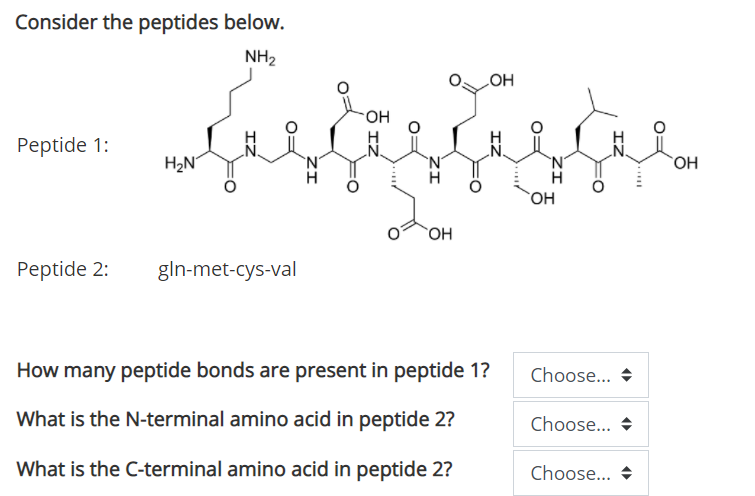 Consider the peptides below.
NH2
HO
HO.
Peptide 1:
H2N
'N'
H
`N'
'N'
`OH
OH
Peptide 2:
gln-met-cys-val
How many peptide bonds are present in peptide 1?
Choose... +
What is the N-terminal amino acid in peptide 2?
Choose... +
What is the C-terminal amino acid in peptide 2?
Choose... +
ZI
