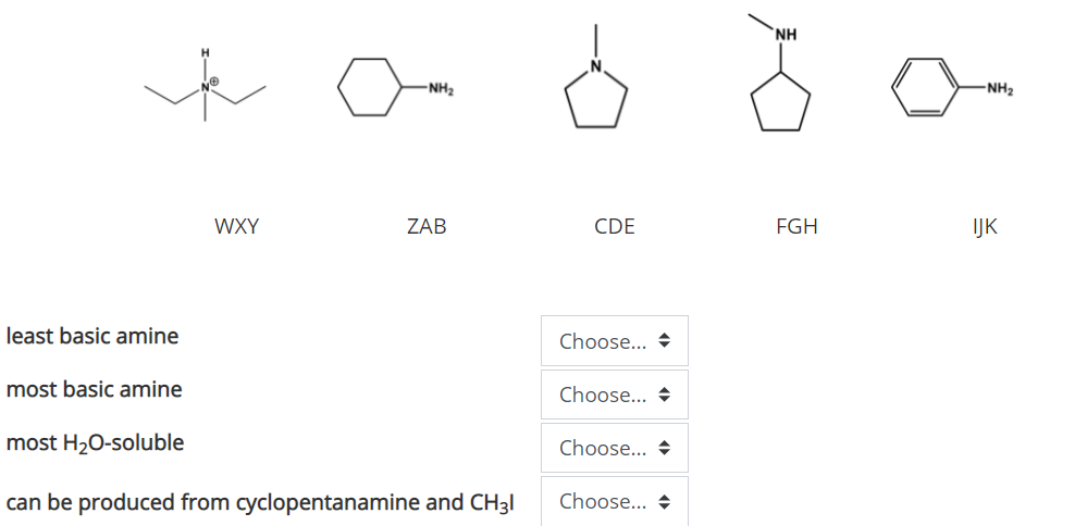 `NH
-NH2
NH2
WXY
ZAB
CDE
FGH
IJK
least basic amine
Choose... +
most basic amine
Choose... +
most H20-soluble
Choose... +
can be produced from cyclopentanamine and CH3|
Choose... +
