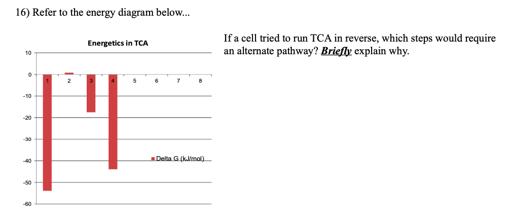 16) Refer to the energy diagram below...
If a cell tried to run TCA in reverse, which steps would require
an alternate pathway? Briefly explain why.
Energetics in TCA
10
2
5
6
7
8
-10
-20
-30
Delta G (kJ/mol)
-40
-50
-60
