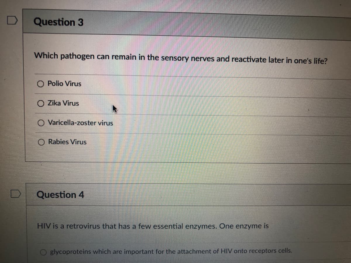 Question 3
Which pathogen can remain in the sensory nerves and reactivate later in one's life?
Polio Virus
Zika Virus
O Varicella-zoster virus
Rabies Virus
Question 4
HIV is a retrovirus that has a few essential enzymes. One enzyme is
glycoproteins which are important for the attachment of HIV onto receptors cells.
