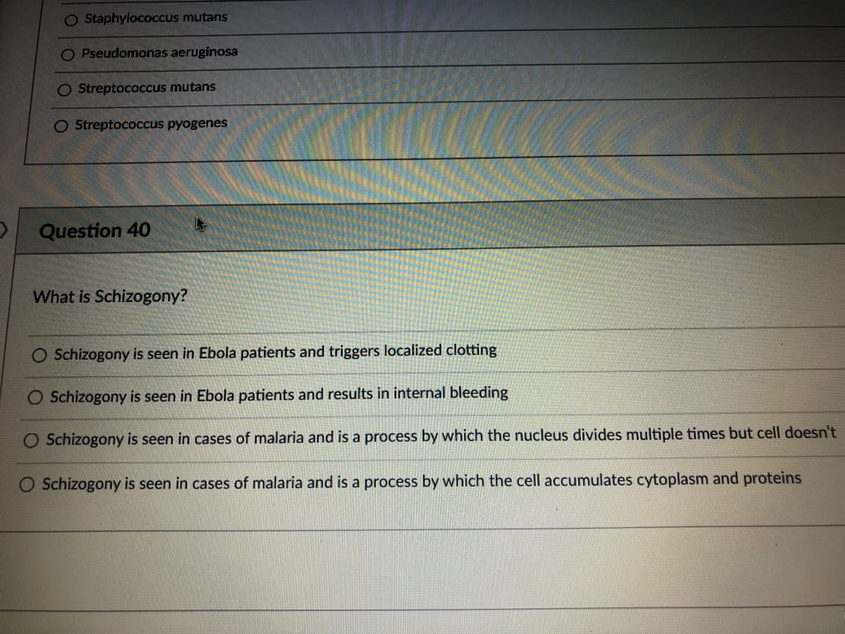 O Staphylococcus mutans
O Pseudomonas aeruginosa
O Streptococcus mutans
O Streptococcus pyogenes
Question 40
What is Schizogony?
O Schizogony is seen in Ebola patients and triggers localized clotting
O Schizogony is seen in Ebola patients and results in internal bleeding
O Schizogony is seen in cases of malaria and is a process by which the nucleus divides multiple times but cell doesn't
Schizogony is seen in cases of malaria and is a process by which the cell accumulates cytoplasm and proteins
