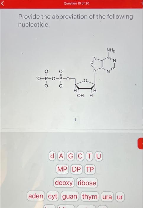 Question 15 of 20
Provide the abbreviation of the following
nucleotide.
NH2
N.
%3D
"0-P-0-P-O-
H
H.
ОН Н
d AGCTU
MP DP TP
deoxy ribose
aden cyt guan thym ura ur
