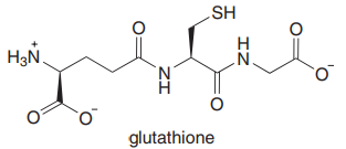 HS
H3N.
N.
'N
н
glutathione
