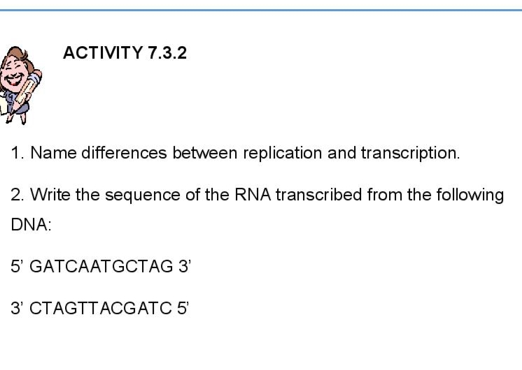 ACTIVITY 7.3.2
1. Name differences between replication and transcription.
2. Write the sequence of the RNA transcribed from the following
DNA:
5' GATCAATGCTAG 3'
3' CTAGTTACGATC 5
