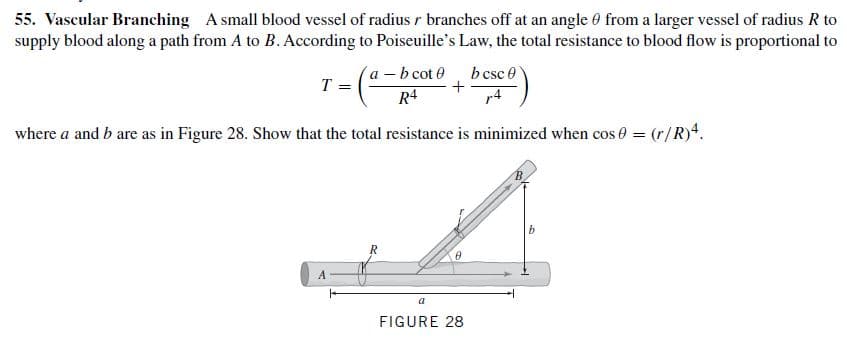 55. Vascular Branching A small blood vessel of radius r branches off at an angle 0 from a larger vessel of radius R to
supply blood along a path from A to B. According to Poiseuille's Law, the total resistance to blood flow is proportional to
a -b cot 0
bcsc e
r4
T =
R4
where a and b are as in Figure 28. Show that the total resistance is minimized when cos 0 = (r/R)4.
FIGURE 28
