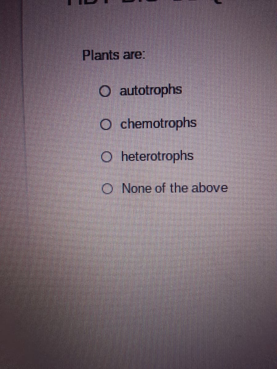 Plants are.
O autotrophs
O chemotrophs
O heterotrophs
O None of the above
