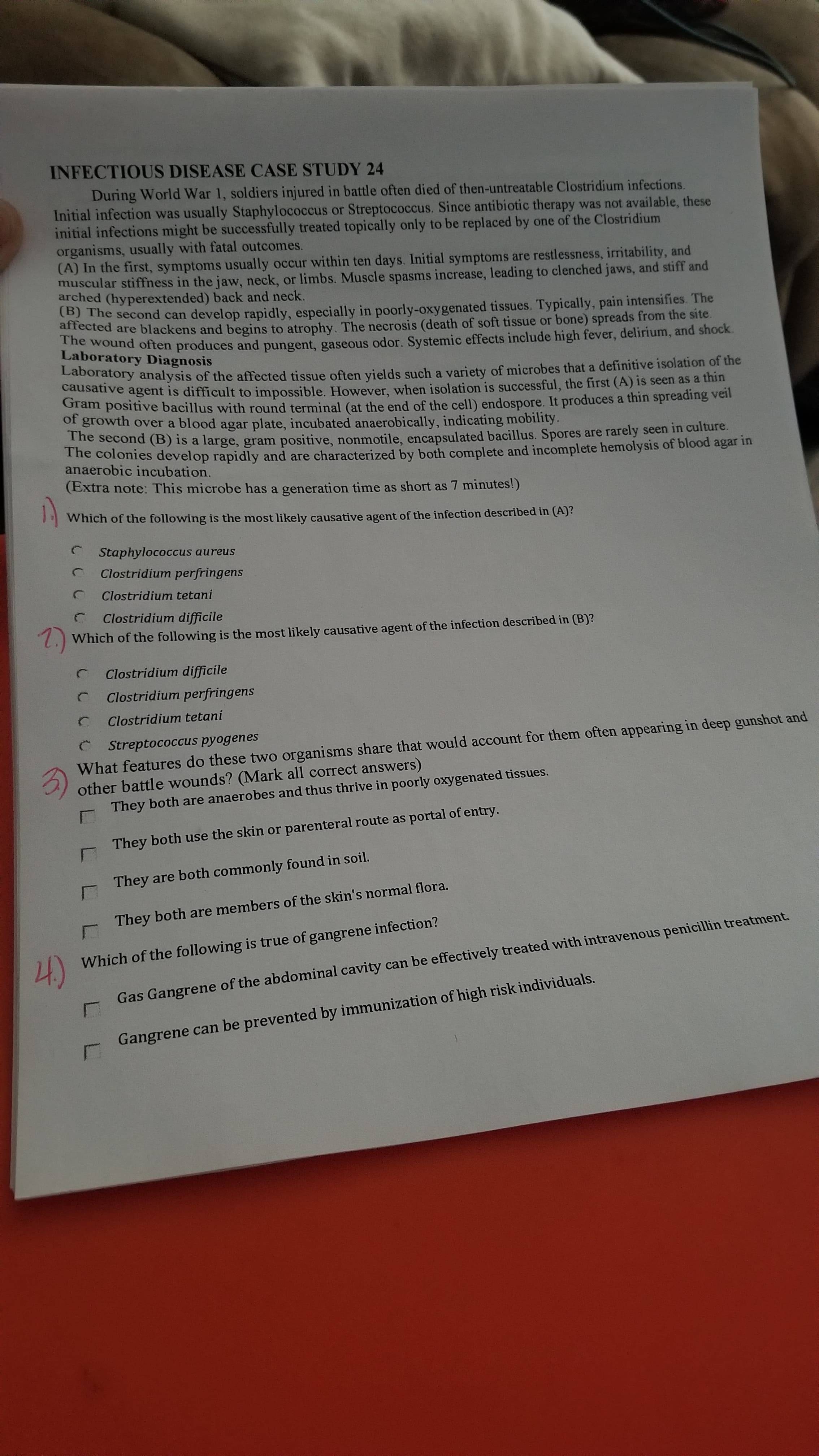 INFECTIOUS DISEASE CASE STUDY 24
During World War 1, soldiers injured in battle often died of then-untreatable Clostridium infections.
Initial infection was usually Staphylococcus or Streptococcus. Since antibiotic therapy was not available, these
initial infections might be successfully treated topically only to be replaced by one of the Clostridium
organisms, usually with fatal outcomes.
(A) In the first, symptoms usually occur within ten days. Initial symptoms are restlessness, irritability, and
muscular stiffness in the jaw, neck, or limbs. Muscle spasms increase, leading to clenched jaws, and stiff and
arched (hyperextended) back and neck.
(B) The second can develop rapidly, especially in poorly-oxygenated tissues. Typically, pain intensifies. The
ected are blackens and begins to atrophy, The necrosis (death of soft tissue or bone) spreads from the site.
Labovand often produces and pungent, gaseous odor. Systemic effects include high fever, delirium, and shock.
Laboratory Diagnosis
caboratory analysis of the affected tissue often vields such a variety of microbes that a definitive isolation of the
causative agent is difficult to impossible. However, when isolation is successful, the first (A) is seen as a thin
Gram positive bacillus with round terminal (at the end of the cell) endospore. It produces a thin spreading veil
of growth over a blood agar plate, incubated anaerobically, indicating mobility.
te second (B) is a large, gram positive, nonmotile, encapsulated bacillus. Spores are rarely seen in culture.
The colonies develop rapidly and are characterized by both complete and incomplete hemolysis of blood agar in
anaerobic incubation.
(Extra note: This microbe has a generation time as short as 7 minutes!)
Which of the following is the most likely causative agent of the infection described in (A)?
Staphylococcus aureus
Clostridium perfringens
Clostridium tetani
Clostridium difficile
7)
2.) Which of the following is the most likely causative agent of the infection described in (B)?
Clostridium difficile
Clostridium perfringens
Clostridium tetani
What features do these two organisms share that would account for them often appearing in deep gunshot and
other battle wounds? (Mark all correct answers)
They both are anaerobes and thus thrive in poorly oxygenated tissues.
Streptococcus pyogenes
They both use the skin or parenteral route as portal of entry.
They are both commonly found in soil.
They both are members of the skin's normal flora.
Which of the following is true of gangrene infection?
Gas Gangrene of the abdominal cavity can be effectively treated with intravenous penicillin treatment.
Gangrene can be prevented by immunization of high risk individuals.
4)
