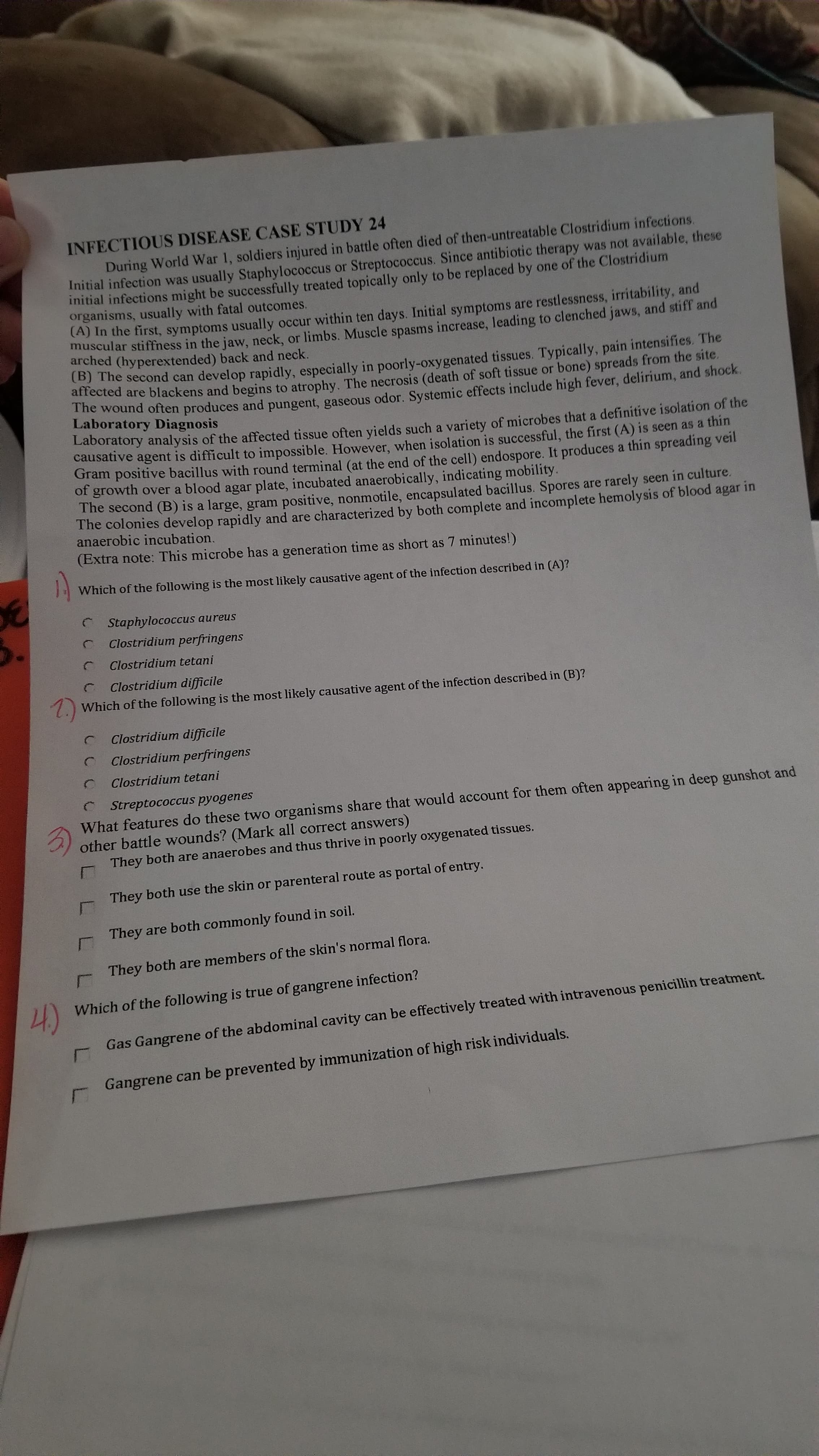 INFECTIOUS DISEASE CASE STUDY 24
During World War 1, soldiers injured in battle often died of then-untreatable Clostridium infections.
Initial infection was usually Staphylococcus or Streptococcus. Since antibiotic therapy was not available, these
initial infections might be successfully treated topically only to be replaced by one of the Clostridium
organisms, usually with fatal outcomes.
CA) In the first, symptoms usually occur within ten days. Initial symptoms are restlessness, irritability, and
muscular stiffness in the jaw, neck, or limbs. Muscle spasms increase, leading to clenched jaws, and stiff and
arched (hyperextended) back and neck.
a e second can develop rapidly, especially in poorly-oxygenated tissues. Typically, pain intensifies. The
arrected are blackens and begins to atrophy. The necrosis (death of soft tissue or bone) spreads from the stte.
The wound often produces and pungent, gaseous odor, Systemic effects include high fever, delirium, and shoock.
Laboratory Diagnosis
aboratory analysis of the affected tissue often vields such a variety of microbes that a definitive isolation of the
causative agent is difficult to impossible. However, when isolation is successful, the first (A) 15 seen as a thin
Gram positive bacillus with round terminal (at the end of the cell) endospore. It produces a thin spreading veil
of growth over a blood agar plate, incubated anaerobically, indicating mobility.
The second (B) is a large, gram positive, nonmotile, encapsulated bacillus. Spores are rarely seen in culture.
The colonies develop rapidly and are characterized by both complete and incomplete hemolysis of blood agar in
anaerobic incubation.
(Extra note: This microbe has a generation time as short as 7 minutes!)
Which of the following is the most likely causative agent of the infection described in (A)?
Staphylococcus aureus
3.
Clostridium perfringens
C Clostridium tetani
Clostridium difficile
7.) Which of the following is the most likely causative agent of the infection described in (B)?
C Clostridium difficile
Clostridium perfringens
C Clostridium tetani
C Streptococcus pyogenes
What features do these two organisms share that would account for them often appearing in deep gunshot and
other battle wounds? (Mark all correct answers)
They both are anaerobes and thus thrive in poorly oxygenated tissues.
They both use the skin or parenteral route as portal of entry.
They are both commonly found in soil.
They both are members of the skin's normal flora.
4)
Which of the following is true of gangrene infection?
Gas Gangrene of the abdominal cavity can be effectively treated with intravenous penicillin treatment.
Gangrene can be prevented by immunization of high risk individuals.
