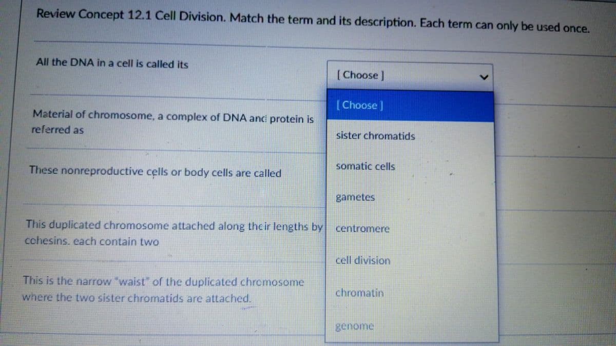 Review Concept 12.1 Cell Division. Match the term and its description. Each term can only be used once.
All the DNA in a cell is called its
[Choose]
Choose]
Material of chromosome, a complex of DNA ani protein is
referred as
sister chromatids
These nonreproductive cells or body cells are called
somatic cells
gametes
This duplicated chromosome attached along thcir lengths by centromere
cohesins. each contain two
cell division
This is the narrow "waist" of the duplicated chromosome
where the two sister chromatids are attached.
chromatin
genome
