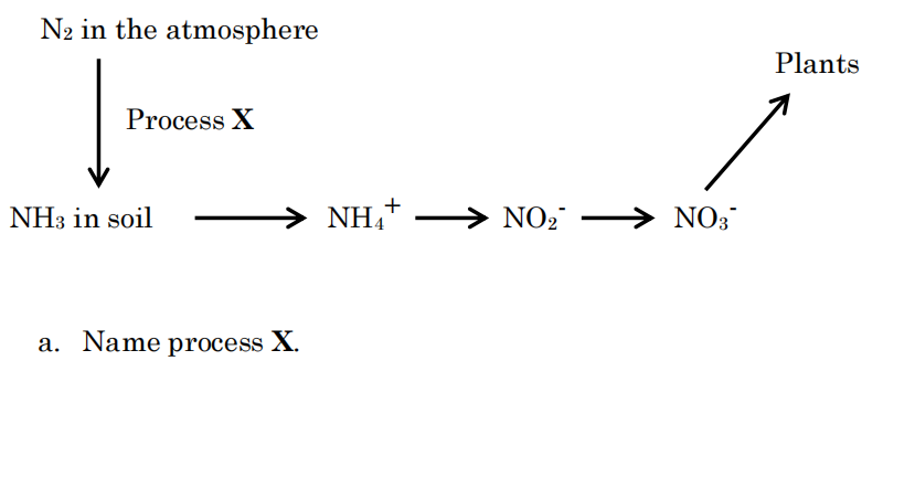 N2 in the atmosphere
Plants
Process X
NH3 in soil
NH,+.
NO2 –
NO3
a. Name process X.
