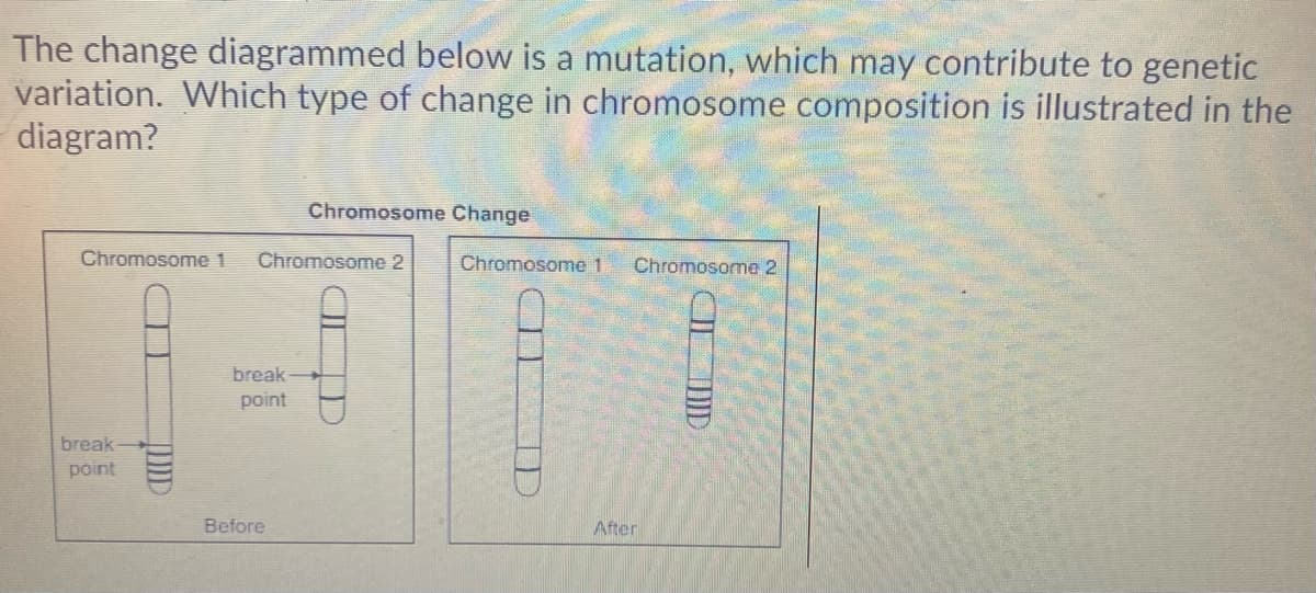 The change diagrammed below is a mutation, which may contribute to genetic
variation. Which type of change in chromosome composition is illustrated in the
diagram?
Chromosome Change
Chromosome 1
Chromosome 2
Chromosome 1
Chromosome 2
break
point
break-
point
Before
After

