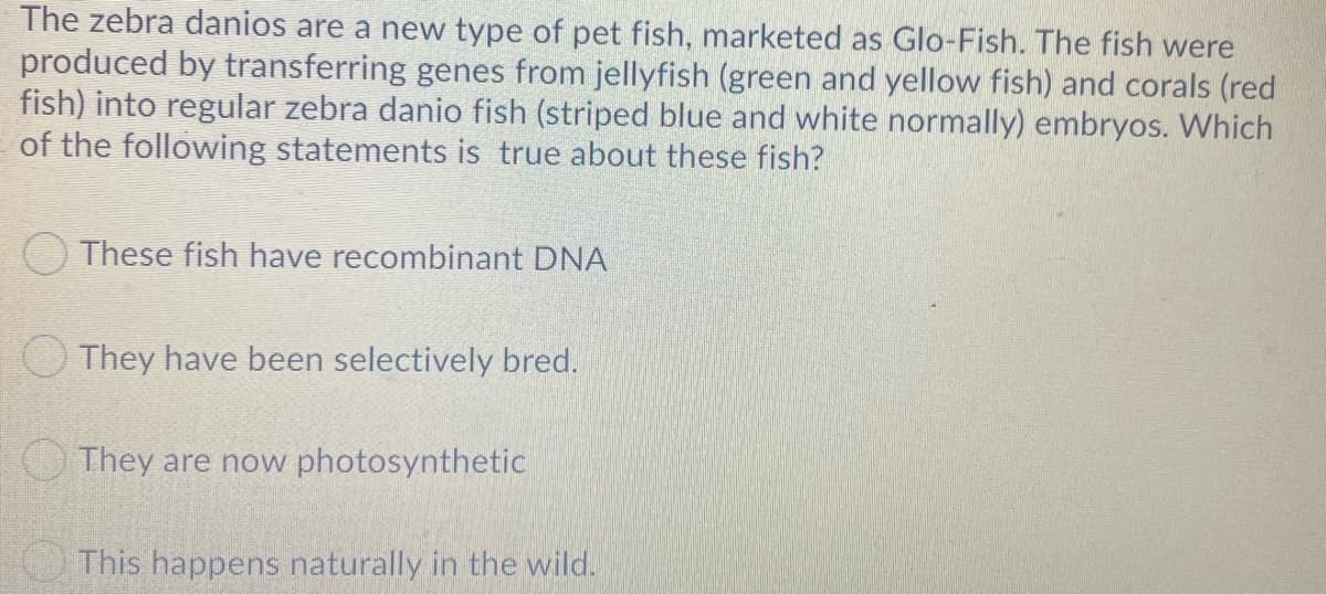 The zebra danios are a new type of pet fish, marketed as Glo-Fish. The fish were
produced by transferring genes from jellyfish (green and yellow fish) and corals (red
fish) into regular zebra danio fish (striped blue and white normally) embryos. Which
of the following statements is true about these fish?
O These fish have recombinant DNA
They have been selectively bred.
They are now photosynthetic
This happens naturally in the wild.
