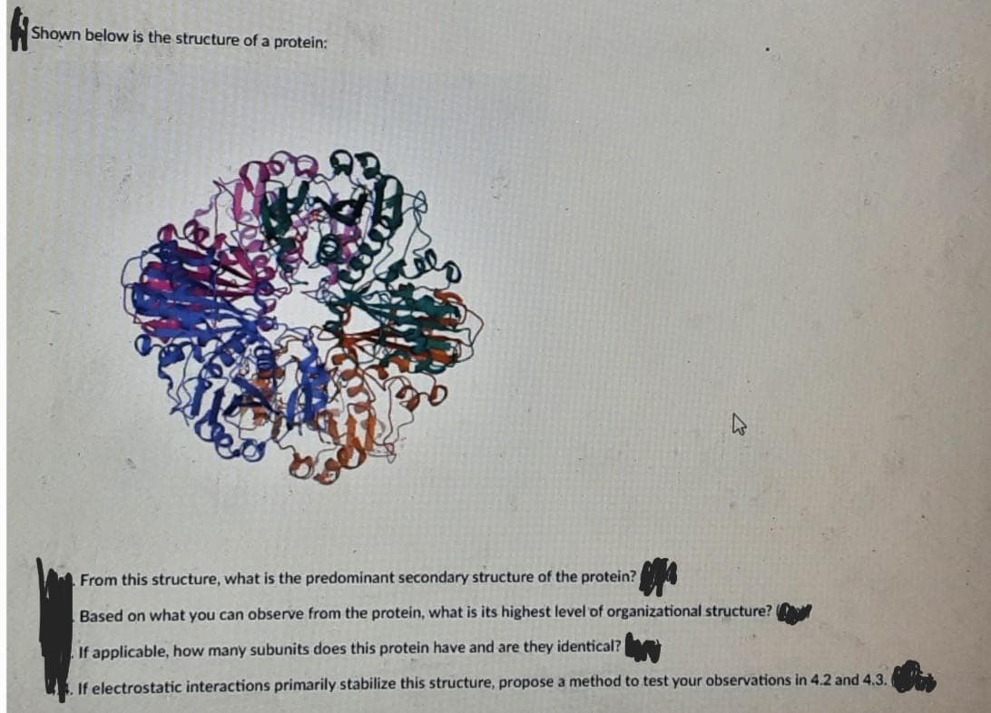 Shown below is the structure of a protein:
From this structure, what is the predominant secondary structure of the protein?
Based on what you can observe from the protein, what is its highest level of organizational structure?
If applicable, how many subunits does this protein have and are they identical?
If electrostatic interactions primarily stabilize this structure, propose a method to test your observations in 4.2 and 4.3.
