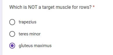 Which is NOT a target muscle for rows? *
O trapezius
O teres minor
gluteus maximus