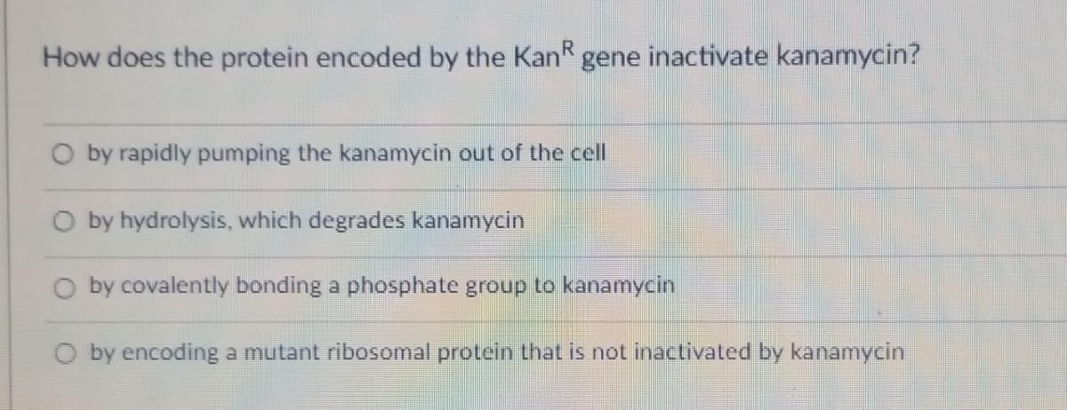 How does the protein encoded by the KanR gene inactivate kanamycin?
O by rapidly pumping the kanamycin out of the cell
O by hydrolysis, which degrades kanamycin
by covalently bonding a phosphate group to kanamycin
O by encoding a mutant ribosomal protein that is not inactivated by kanamycin
