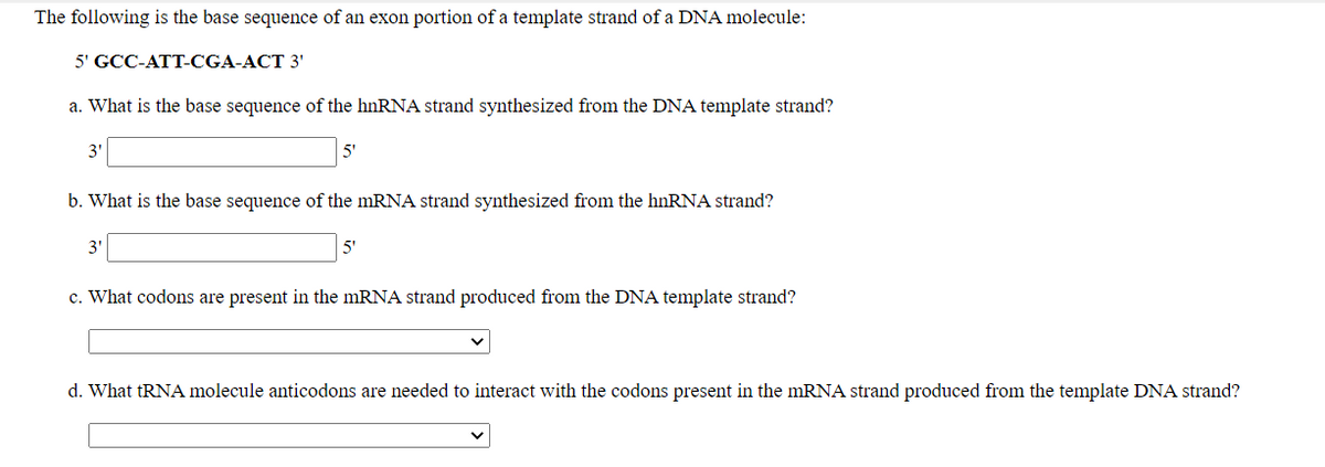 The following is the base sequence of an exon portion of a template strand of a DNA molecule:
5' GCC-ATT-CGA-ACT 3'
a. What is the base sequence of the hnRNA strand synthesized from the DNA template strand?
3'
5"
b. What is the base sequence of the mRNA strand synthesized from the hnRNA strand?
3'
5"
c. What codons are present in the mRNA strand produced from the DNA template strand?
d. What tRNA molecule anticodons are needed to interact with the codons present in the mRNA strand produced from the template DNA strand?

