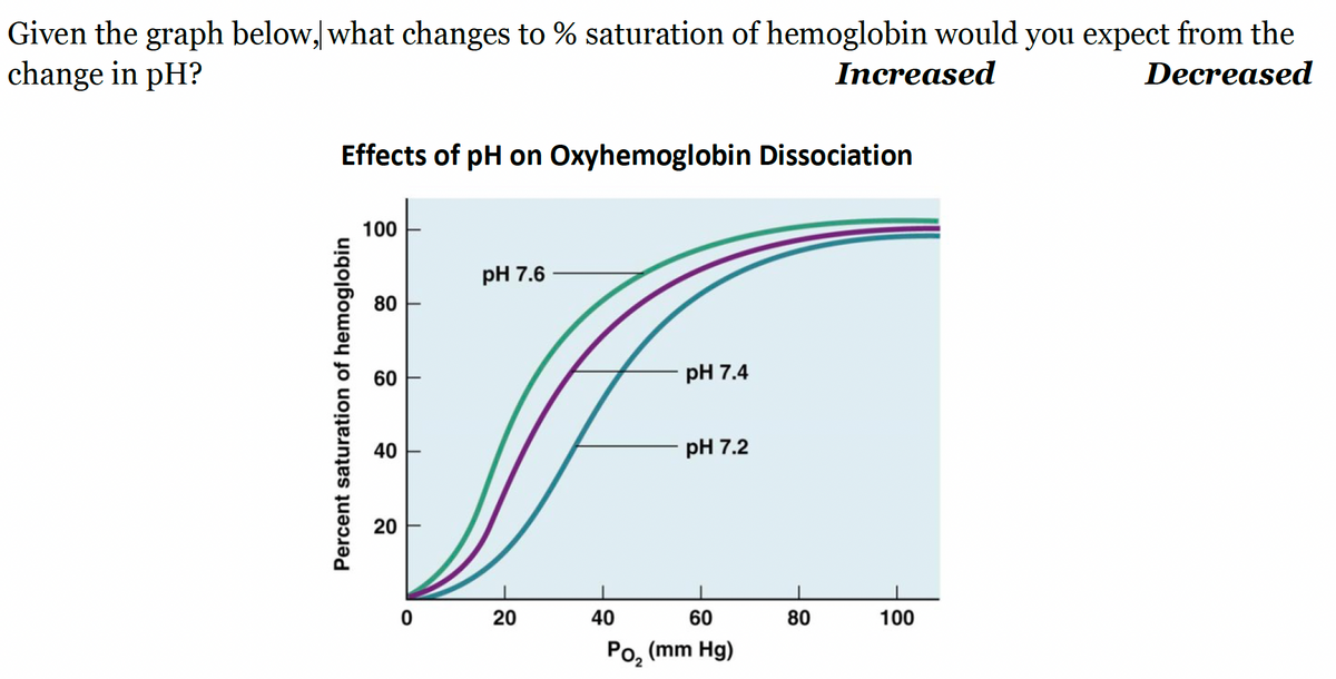 Given the graph below, what changes to % saturation of hemoglobin would you expect from the
change in pH?
Increased
Decreased
Effects of pH on Oxyhemoglobin Dissociation
Percent saturation of hemoglobin
100
80
60
40
20
0
pH 7.6
20
40
pH 7.4
pH 7.2
60
Po₂ (mm Hg)
80
100