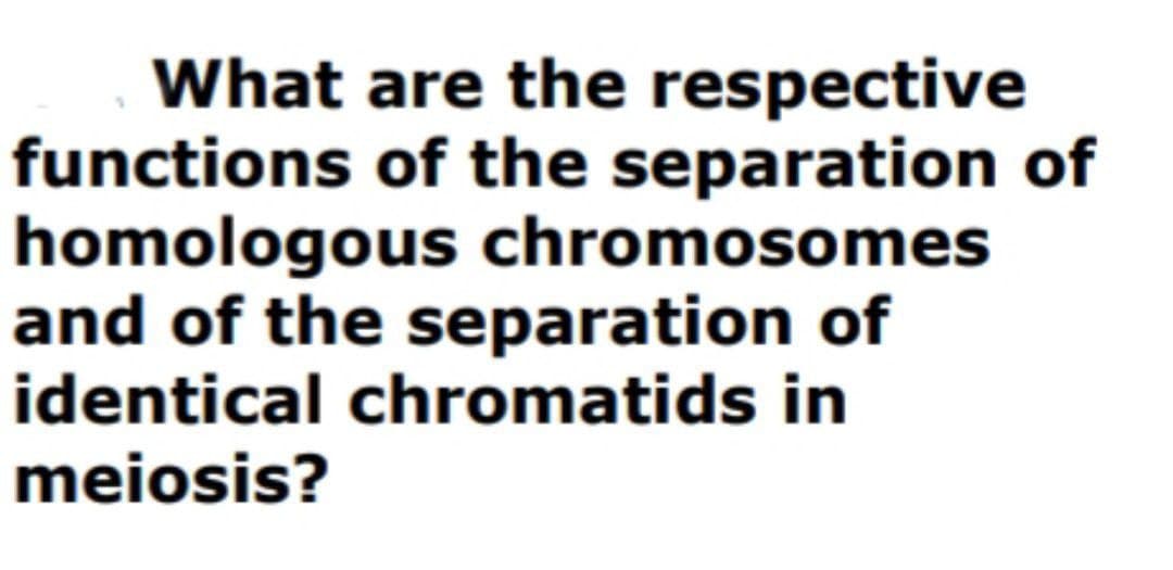 What are the respective
functions of the separation of
homologous chromosomes
and of the separation of
identical chromatids in
meiosis?

