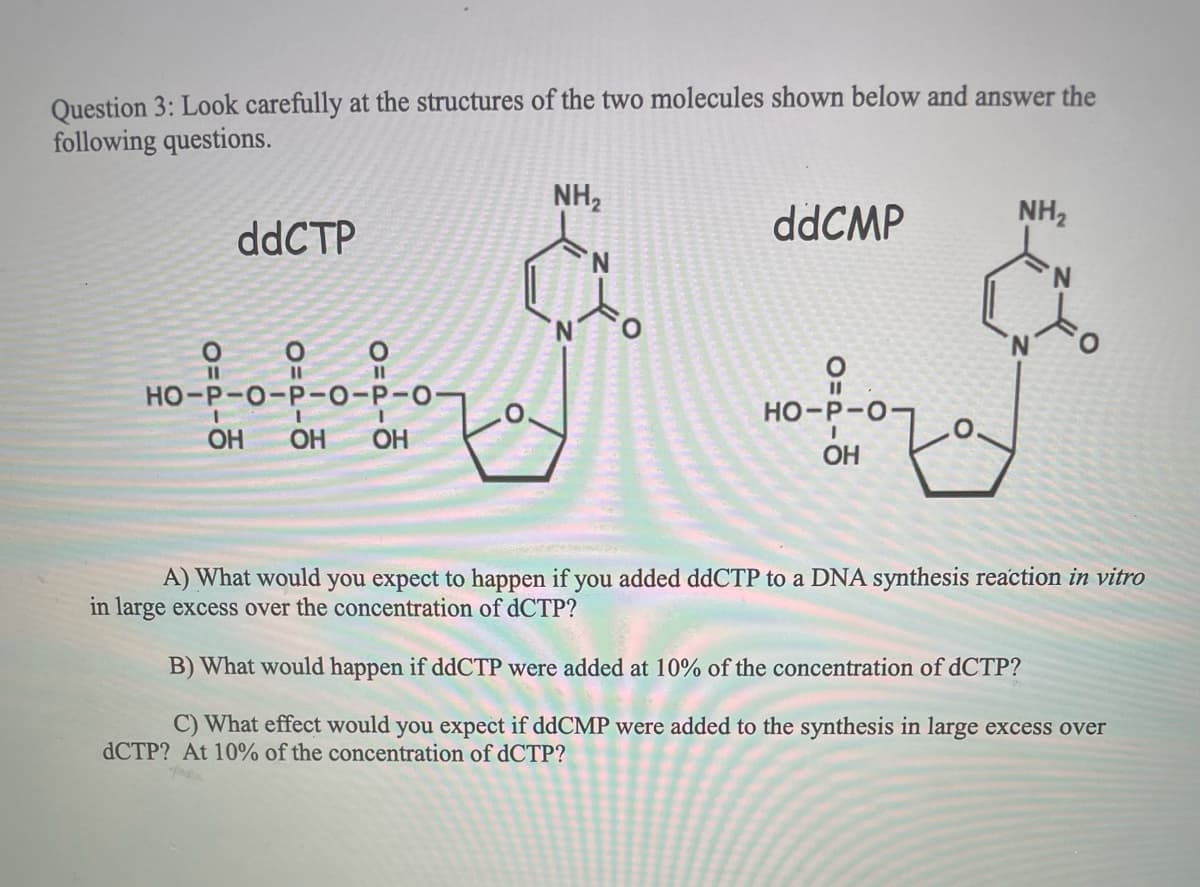 Question 3: Look carefully at the structures of the two molecules shown below and answer the
following questions.
O=
ddCTP
O=
OH
O
11
HO-P-O-P-O-P-O
I
OH OH
NH₂
ddCMP
O
11
HO-P-O
OH
NH₂
A) What would you expect to happen if you added ddCTP to a DNA synthesis reaction in vitro
in large excess over the concentration of dCTP?
B) What would happen if ddCTP were added at 10% of the concentration of dCTP?
C) What effect would you expect if ddCMP were added to the synthesis in large excess over
dCTP? At 10% of the concentration of dCTP?