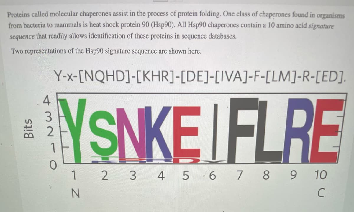 Proteins called molecular chaperones assist in the process of protein folding. One class of chaperones found in organisms
from bacteria to mammals is heat shock protein 90 (Hsp90). All Hsp90 chaperones contain a 10 amino acid signature
sequence that readily allows identification of these proteins in sequence databases.
Two representations of the Hsp90 signature sequence are shown here.
Y-x-[NQHD]-[KHR]-[DE]-[IVA]-F-[LM]-R-[ED].
4
YSNKE/FLRE
3.
7.
1
1 2 3 4 5 6 7 8 9 10
C
Bits
