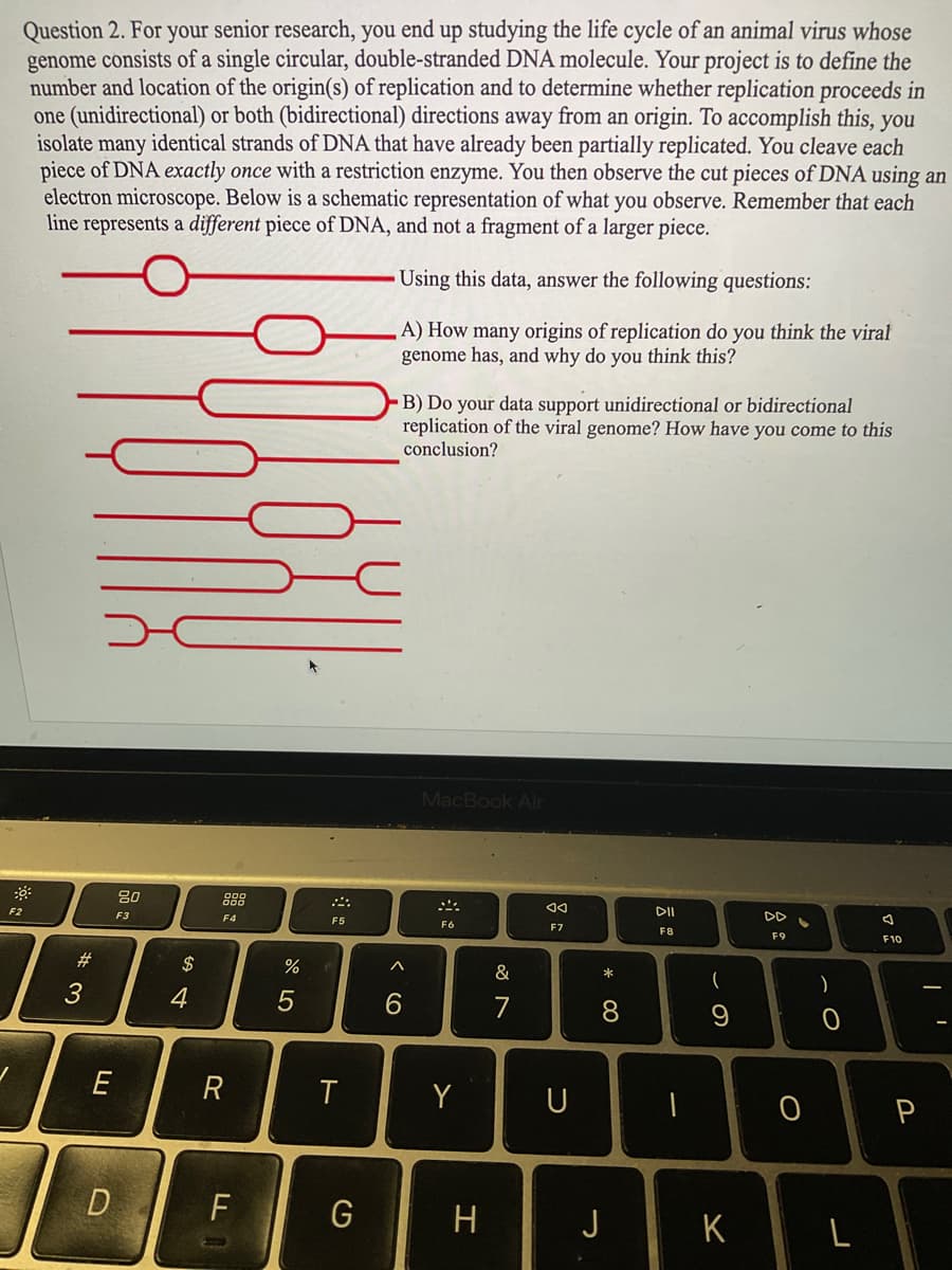 Question 2. For your senior research, you end up studying the life cycle of an animal virus whose
genome consists of a single circular, double-stranded DNA molecule. Your project is to define the
number and location of the origin(s) of replication and to determine whether replication proceeds in
one (unidirectional) or both (bidirectional) directions away from an origin. To accomplish this, you
isolate many identical strands of DNA that have already been partially replicated. You cleave each
piece of DNA exactly once with a restriction enzyme. You then observe the cut pieces of DNA using an
electron microscope. Below is a schematic representation of what you observe. Remember that each
line represents a different piece of DNA, and not a fragment of a larger piece.
Using this data, answer the following questions:
A) How many origins of replication do you think the viral
genome has, and why do you think this?
30:
F2
#3
***
E
D
80
F3
54
$
4
F4
R
LL
%
5
F5
T
G
B) Do your data support unidirectional or bidirectional
replication of the viral genome? How have you come to this
conclusion?
A
6
MacBook Air
F6
Y
H
&
7
◄◄
F7
U
* 00
8
J
DII
F8
-
(
9
K
DD
F9
0
)
0
L
A
F10
P