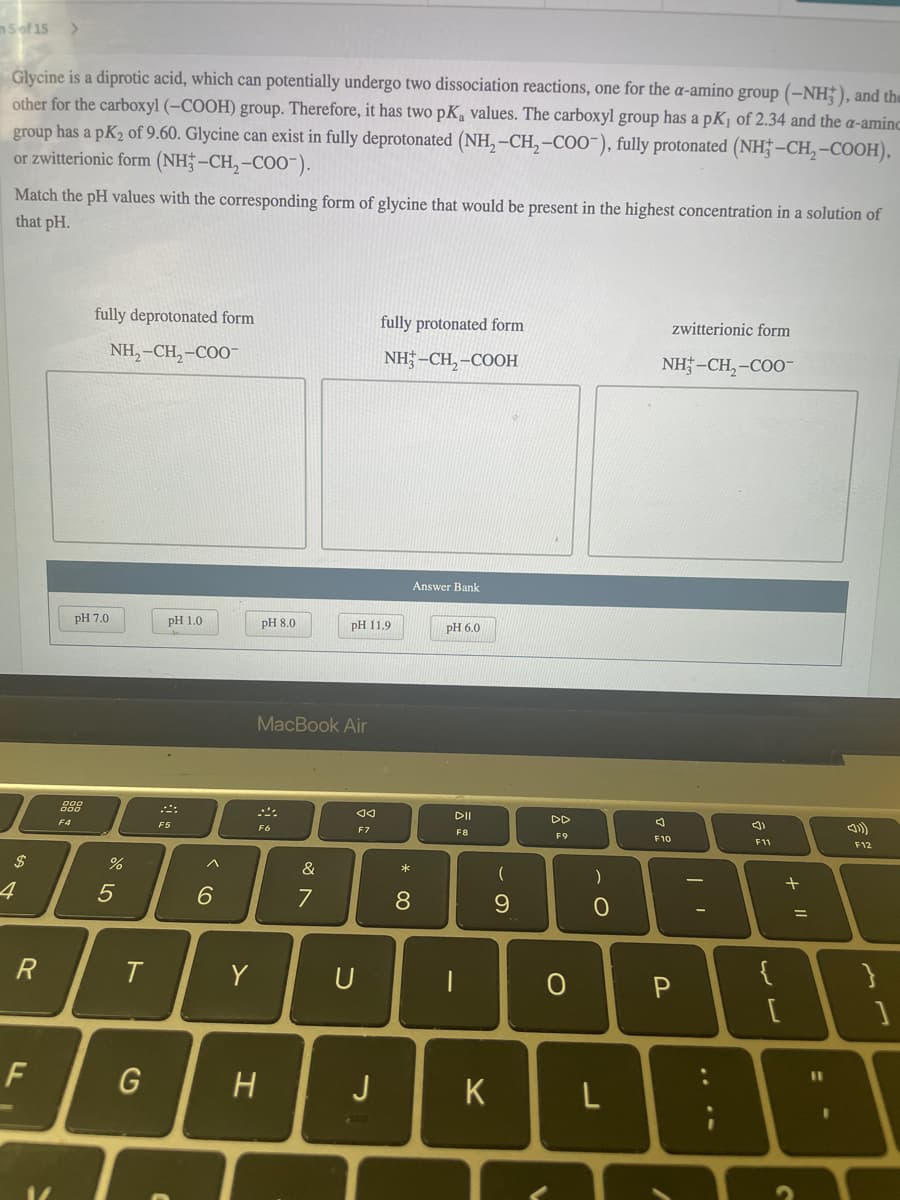 n5of 15 >
Glycine is a diprotic acid, which can potentially undergo two dissociation reactions, one for the a-amino group (–NH;), and the
other for the carboxyl (–COOH) group. Therefore, it has two pK, values. The carboxyl group has a pKj of 2.34 and the a-aminc
group has a pK2 of 9.60. Glycine can exist in fully deprotonated (NH, –CH, –COO"), fully protonated (NH† –CH, -COOH),
or zwitterionic form (NH;-CH,-CO0-).
Match the pH values with the corresponding form of glycine that would be present in the highest concentration in a solution of
that pH.
fully deprotonated form
fully protonated form
zwitterionic form
NH,–CH,-COO"
NH; –CH,-COOH
NH -CH, -COO-
Answer Bank
pH 7.0
pH 1.0
pH 8.0
pH 11.9
PН 6.0
MacBook Air
DII
DD
F4
F5
F6
F7
F8
F9
F10
F11
F12
$
&
*
4
5
6.
7
8.
R
T.
Y
U
%D
F
H
J
K
+ ||
* 00
%24
