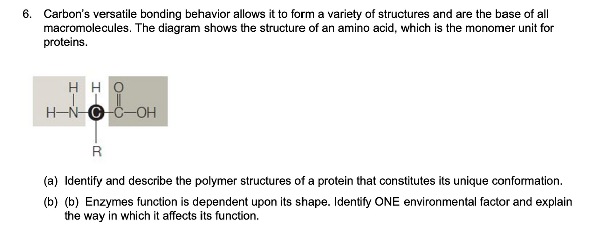 Carbon's versatile bonding behavior allows it to form a variety of structures and are the base of all
macromolecules. The diagram shows the structure of an amino acid, which is the monomer unit for
proteins.
6.
H HO
H-N-C-C-OH
R
(a) Identify and describe the polymer structures of a protein that constitutes its unique conformation.
(b) (b) Enzymes function is dependent upon its shape. Identify ONE environmental factor and explain
the way in which it affects its function.
